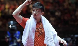 乒乓球世界杯总决赛 乒乓球世界杯总决赛